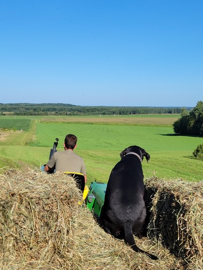 Jared and Nova the dog on a hay wagon pulled by a tractor overlooking the farm in Bloomer, WI