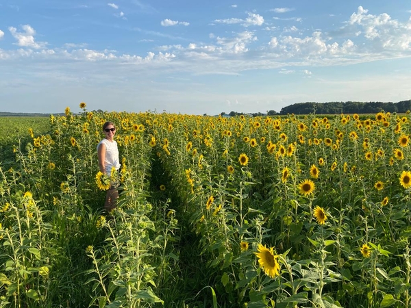 Vanessa standing in a field of sunflowers on SCF in Bloomer, WI