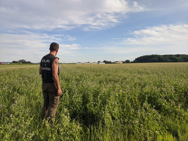 Photo of Jared in a field on peas on SCF in Bloomer, WI