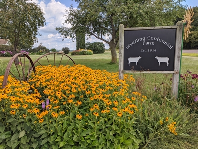 Siverling Centennial Farm yard sign with flowers and apple trees in Bloomer, WI