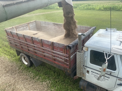 Transferring corn from the grain bin for sale in the Chippewa Valley