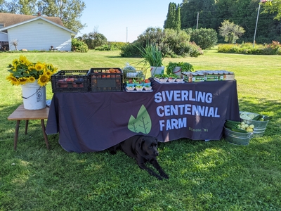 SCF on-farm market stand selling sunflowers, vegetables and canned goods in Bloomer, WI with dog under table