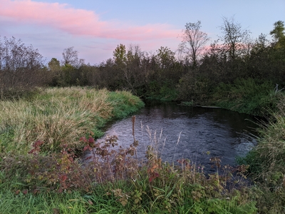 Fall photo of McCann Creek that runs through the farm in Bloomer, WI