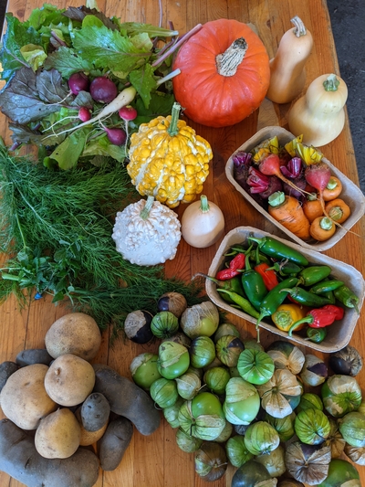 Sample CSA vegetable share from Siverling Centennial Farm available in the Chippewa Valley